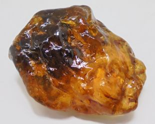 琥珀原礦