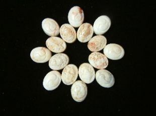 珠子